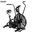 Assault Airbike Classic_1