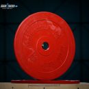 Technique Bumper Plate 2.5kg_1