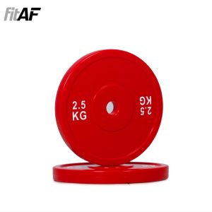 Technique Plate 2,5kg_1